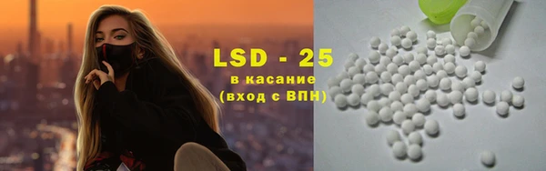 соль ск Кулебаки