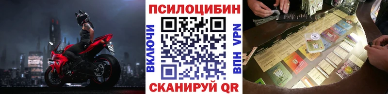 Купить закладки  Калининец  Галлюциногенные грибы Psilocybine cubensis 